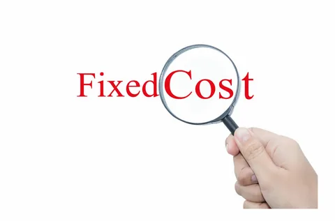 Fixed Cost Software Development Services